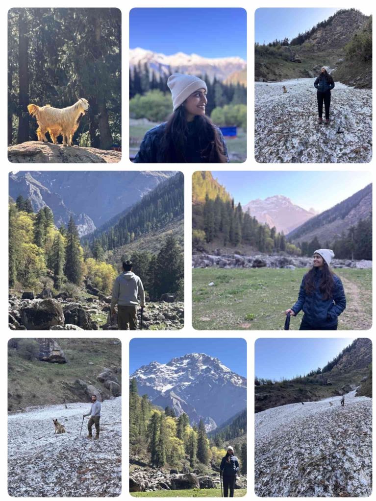 Tosh village kutla (kasol)- kulta galcier point