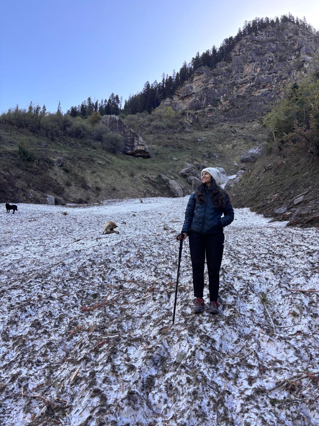 A Birthday to Remember in Kasol: Mountains, Cold Rivers & The Dogs That Led the&nbsp;Way